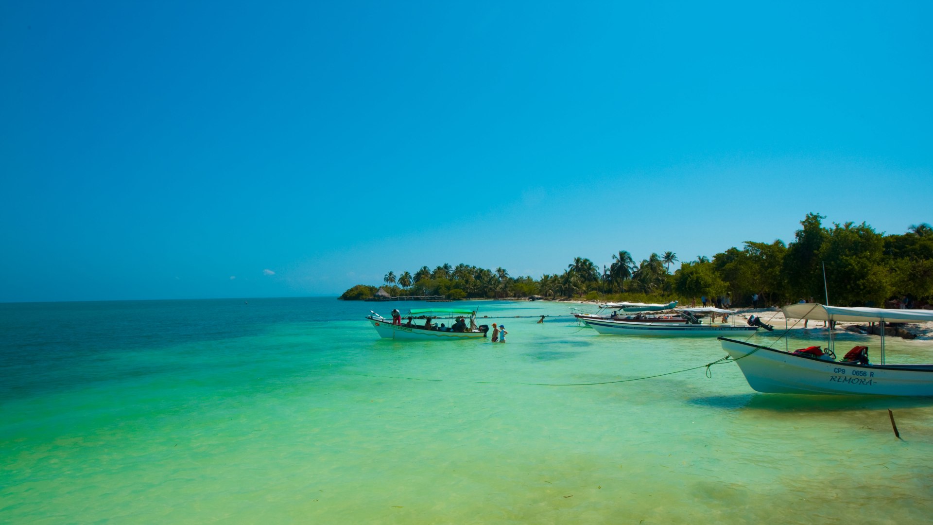 Siete Destinos De Naturaleza Para Descubrir En La Regi N Caribe