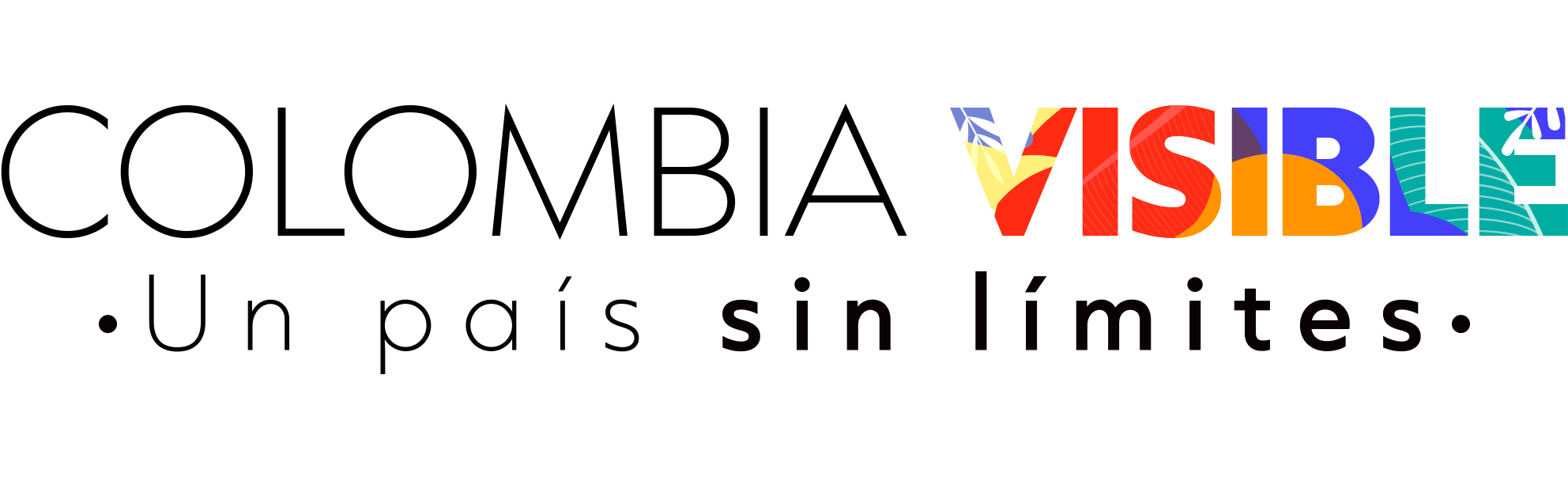 Colombia Visible logo