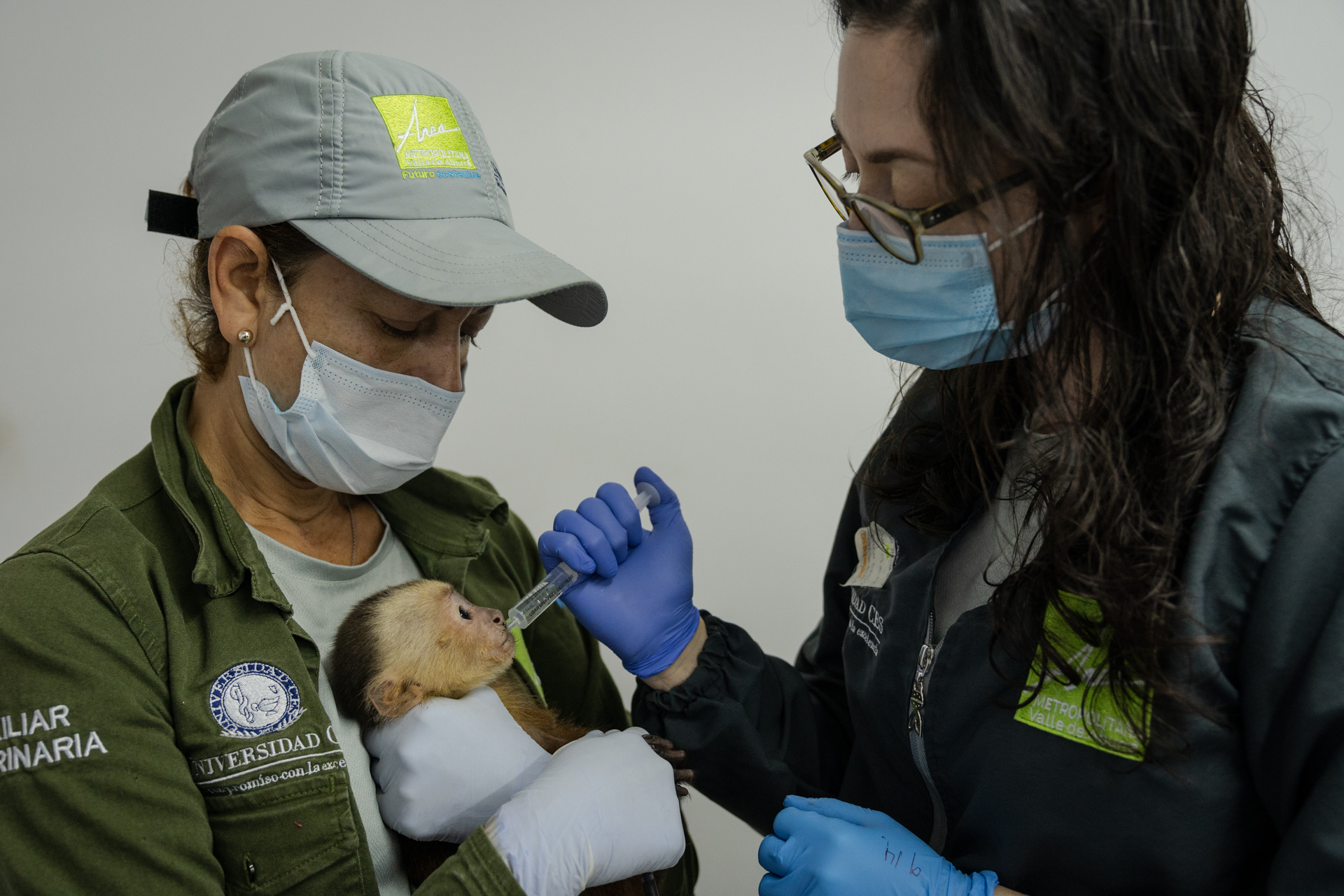 Animales Rescatados En fotos: una segunda vida para animales rescatados en el Valle de ...