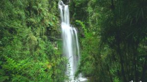 Cascada chorrera chiflón