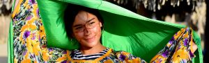 Día nacional de la lengua nativa, diccionarios virtuales de lenguas indigenas a español