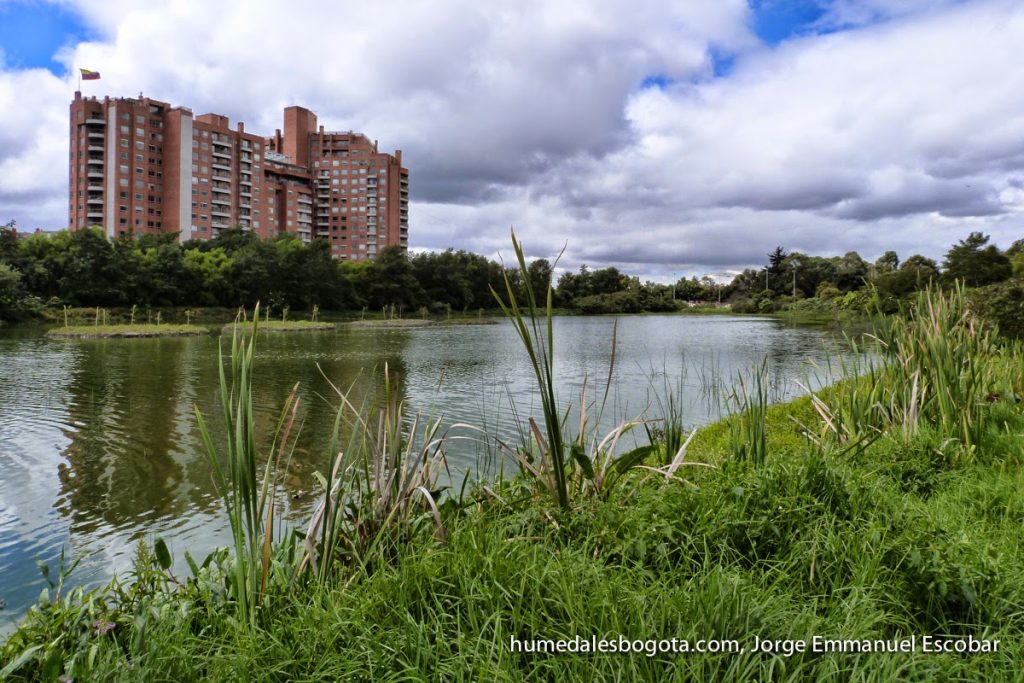 Desde 2018, el complejo de humedales de Bogotá hace parte de la lista de sitios Ramsar. / FOTO: Humedales de Bogotá - Jorge Emmanuel Escobar