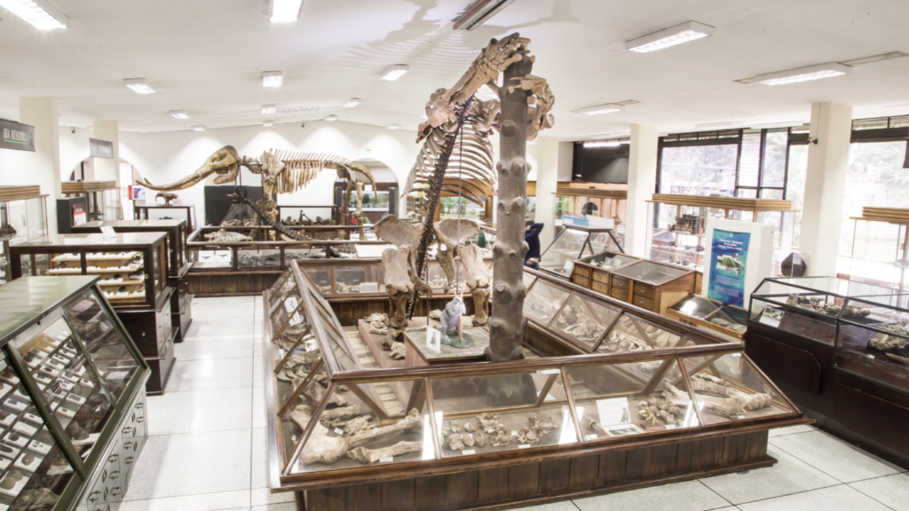 Museo Geológico de Colombia