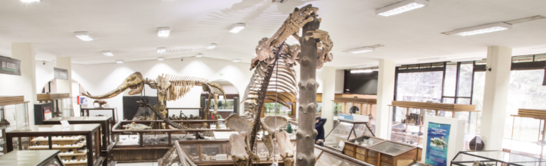 Portada Museos