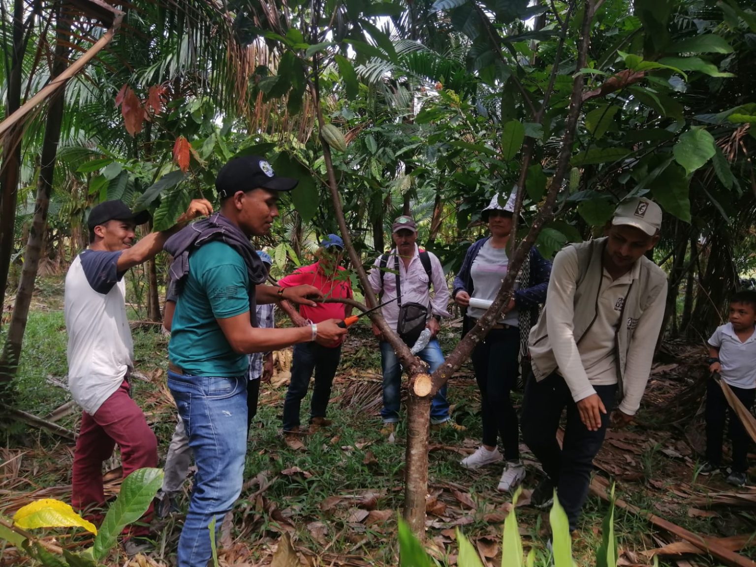 12 Iniciativas Campesinas Colombianas Destacadas De Colombia Visible En ...