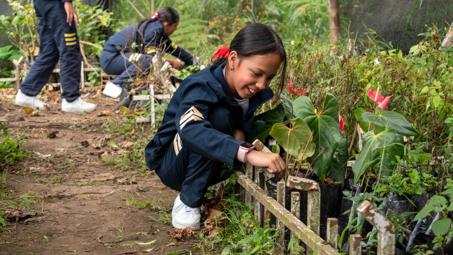 Dentro de la institución no solo hacen compostaje, también tienen cultivos de maíz, suculentas, aromáticas y otras especies. | Foto: Pedro Camelo - Colombia Visible