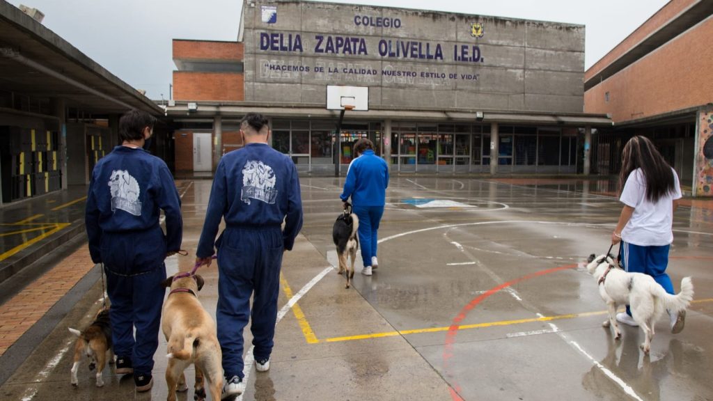Primer hogar de paso escolar en Bogotá