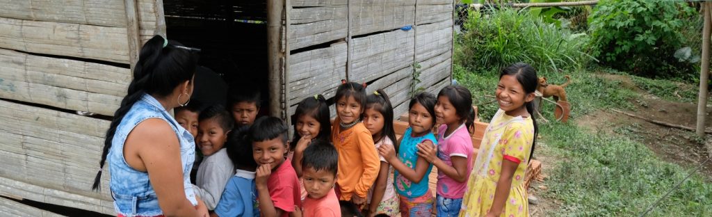 Educación Indígena