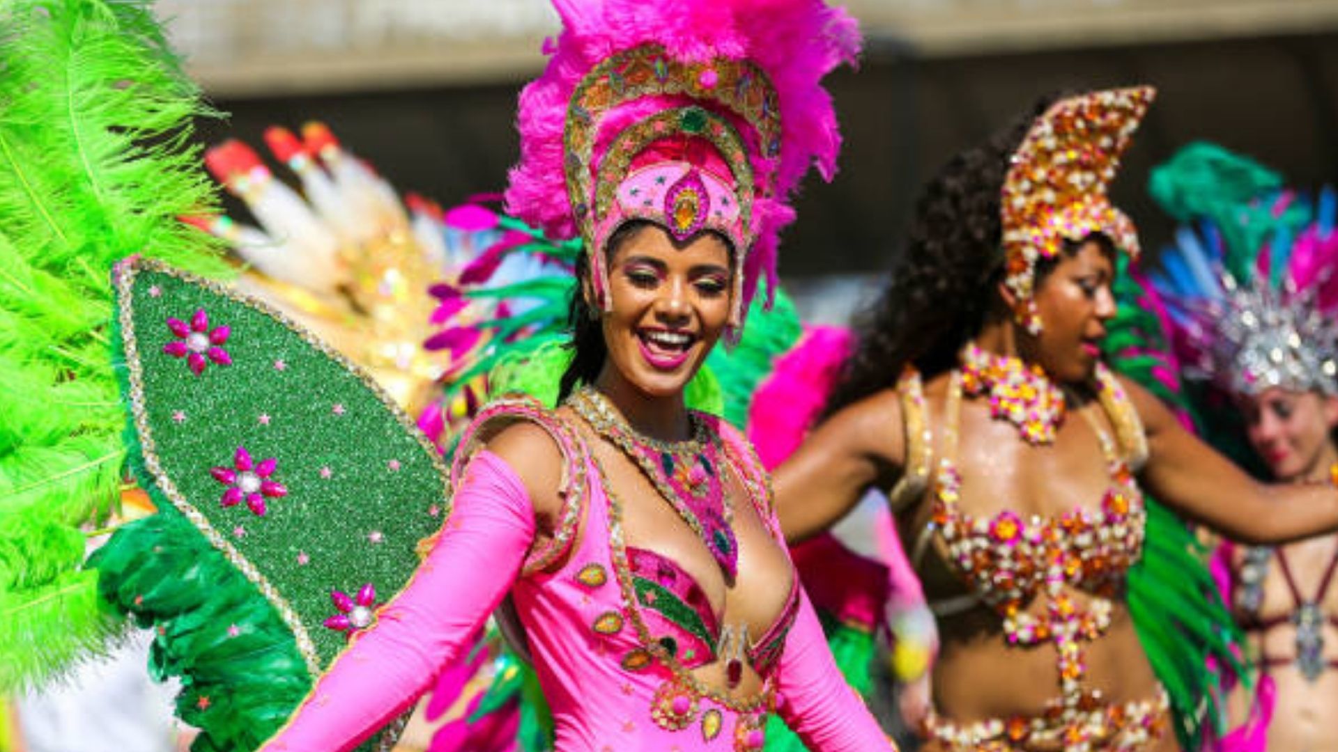 Historia, memoria y raíces