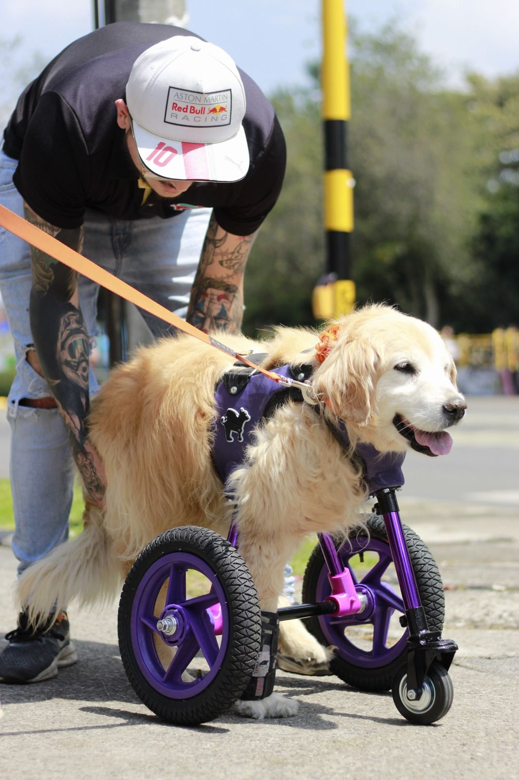 Super Mascotas: cuando el diseño colombiano se convierte en oportunidad de vida