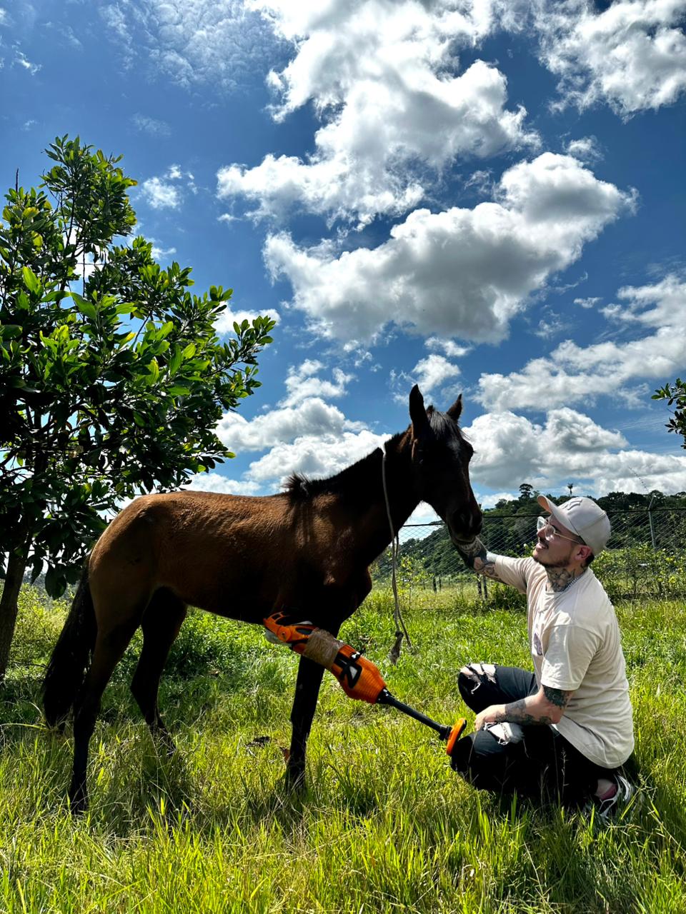 Super Mascotas: cuando el diseño colombiano se convierte en oportunidad de vida