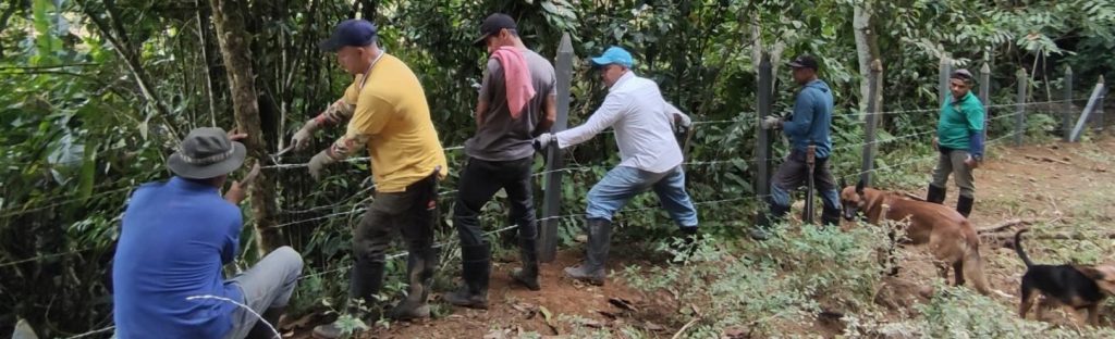 Día internacional de las ONG